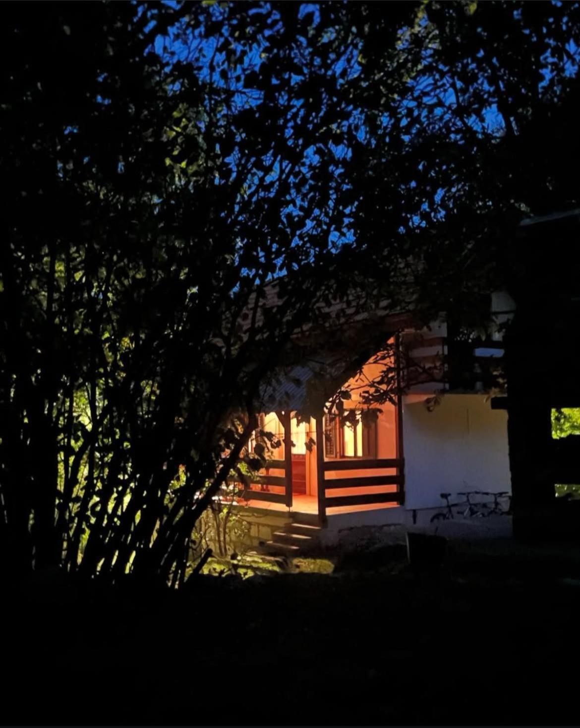 Lovcen4Me Villa Cetinje Dış mekan fotoğraf
