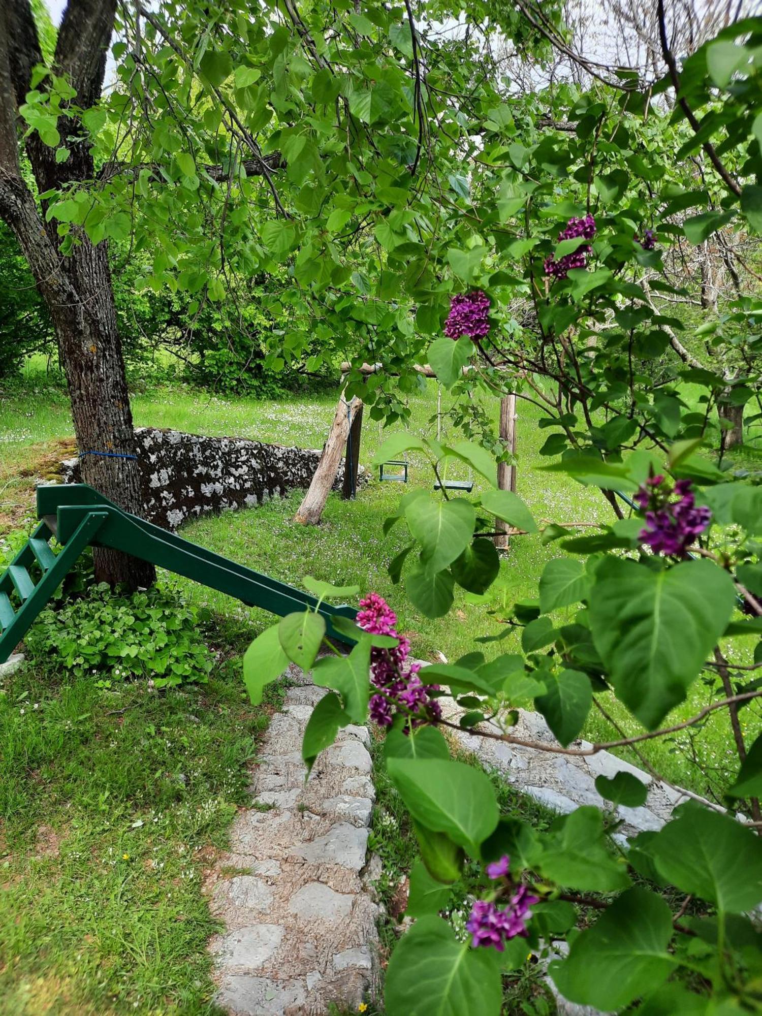 Lovcen4Me Villa Cetinje Dış mekan fotoğraf